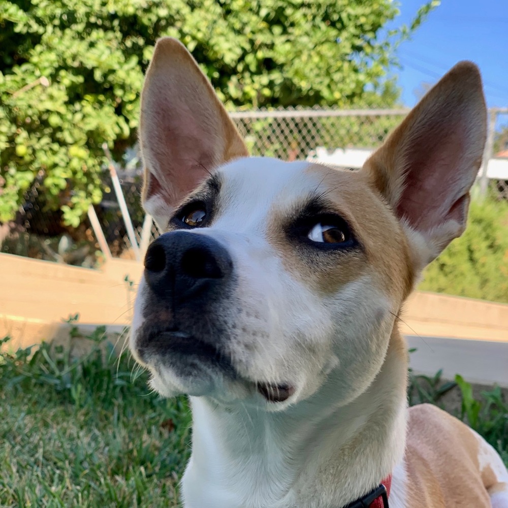 Meet your Posher, Carlos